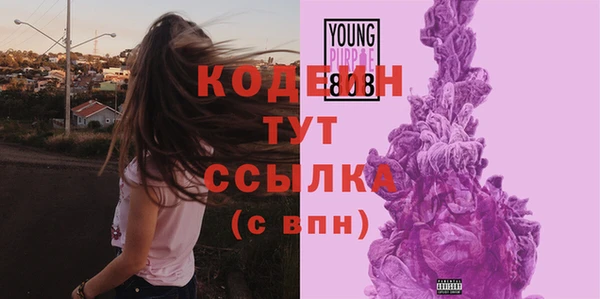 дмт Лабытнанги