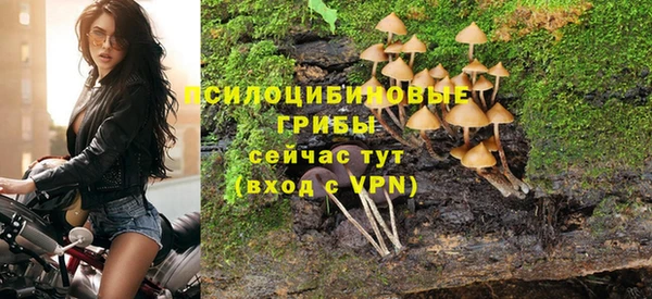 спиды Белоозёрский