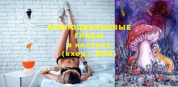 мет Белокуриха