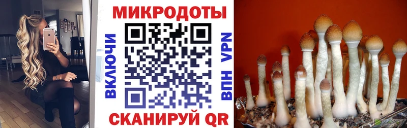 Псилоцибиновые грибы MAGIC MUSHROOMS Купить закладки Бор